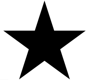 Schwarzer Stern auf weißem Hintergrund